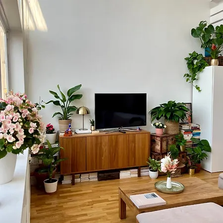 Apartamento Un Duplex De Charme à *